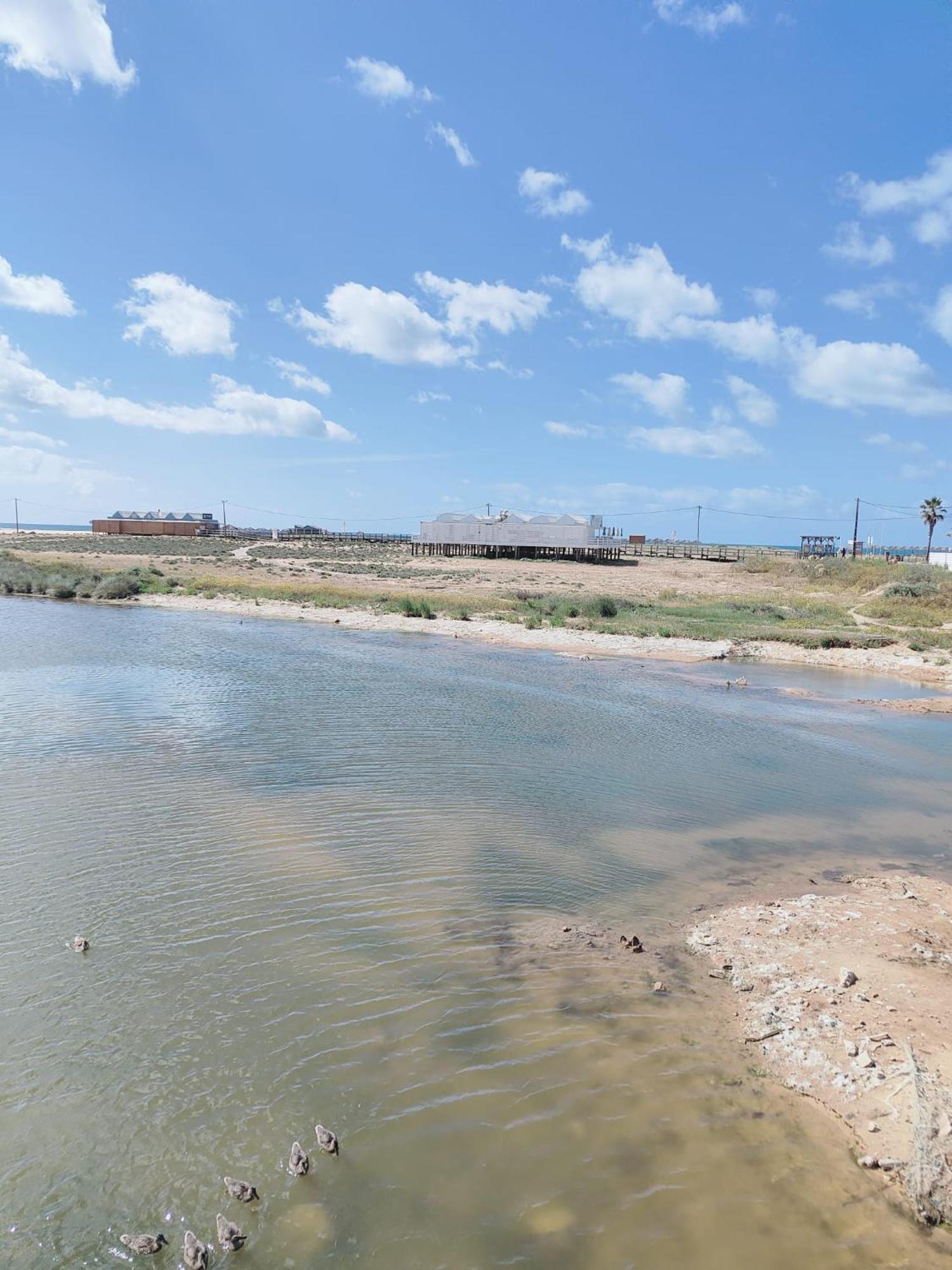 Bayline- Beachfront And Pool Armacao de Pera Exterior foto